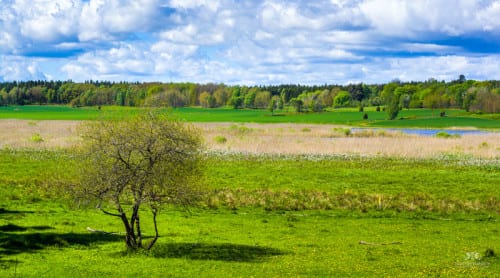 101 nya naturreservat