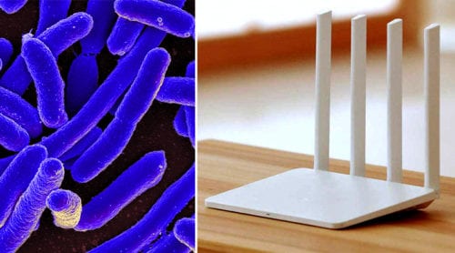 Bacteria, mobile phones & WiFi – a deadly combination?