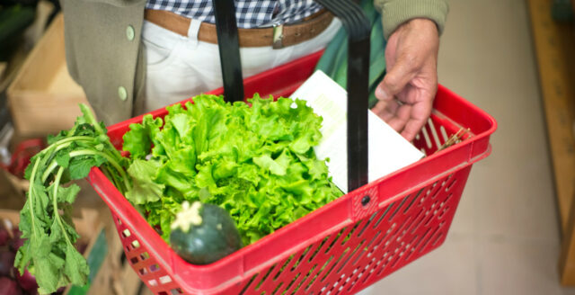 Äldre ger upp digital shopping – saknar samvaron i fysiska butiker