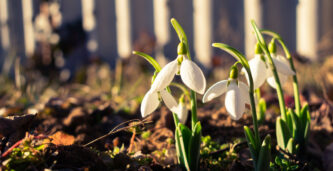 Solchanser i hela Sverige under påskhelgen