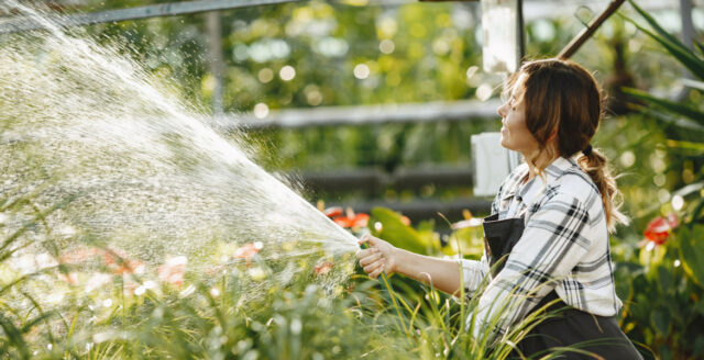 Besök en öppen trädgård i sommar