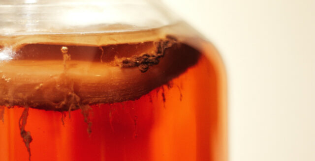 Kombucha-te kan sänka blodsockernivåerna