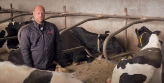 Dansk lantbrukare slår larm: Bovaer gör mina kor sjuka