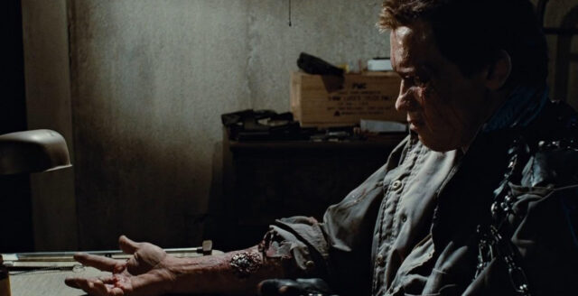 The Terminator Arnold Schwarzenegger