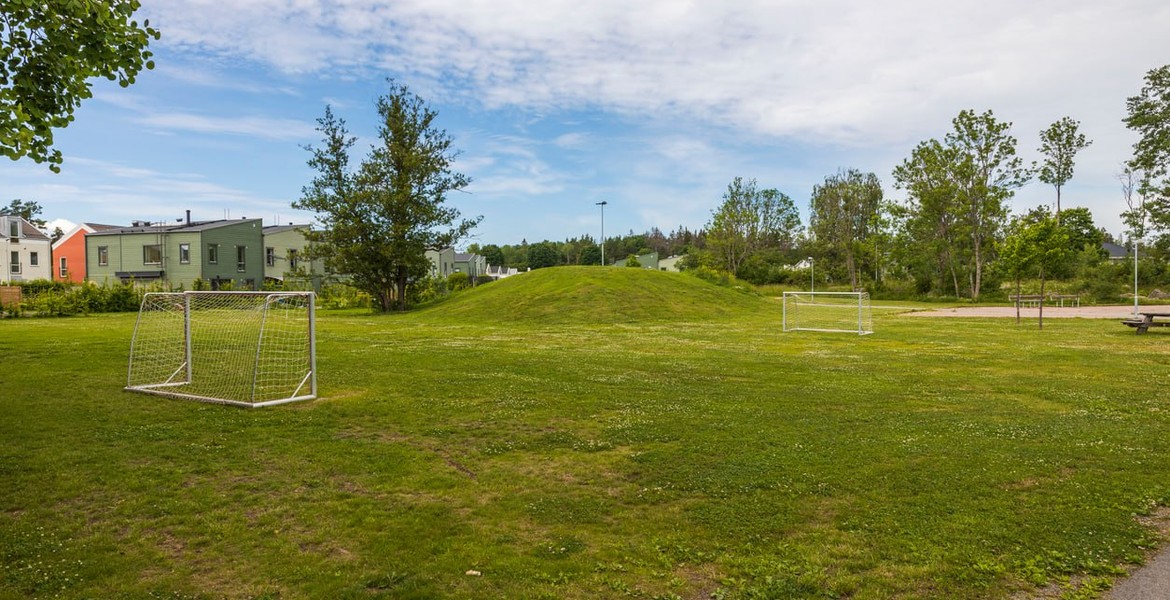 Två fotbollsmål på en gräsplan intill bostadshus och träd.