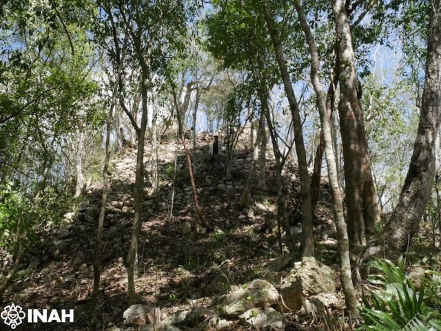 Övervuxet pyramidtempel i djungeln